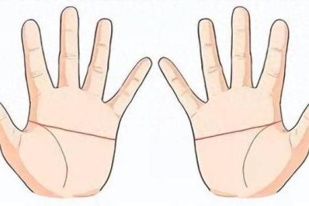 从手相看你的命运：富贵人生还是平凡际遇？