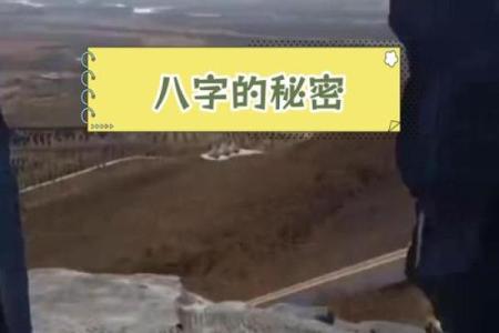 揭示适合当老板的八字命理：成功的秘密在于这些特征！