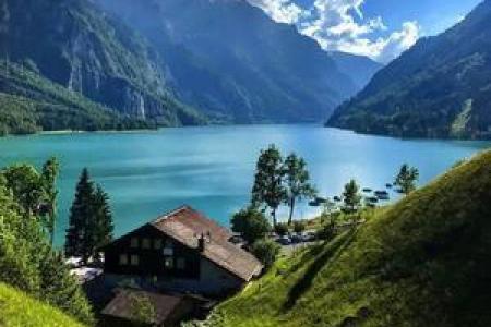 属狗人水命适合什么头像？探索头像选择与运势的奥秘！