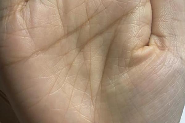 手短粗的女生命运与性格特征解析 手短粗的女生命运与性格特征解析