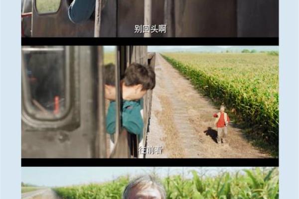 拿命挑战人生：勇敢面对挑战，活出精彩人生！