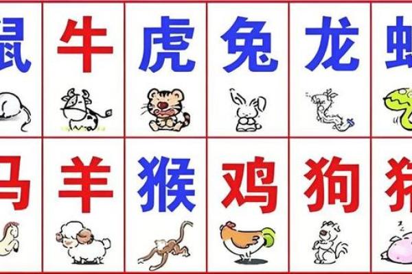 揭秘生肖命运:十二生肖与性格命理的神秘联系 揭秘生肖命运:十二生肖与性格命理的神秘联系
