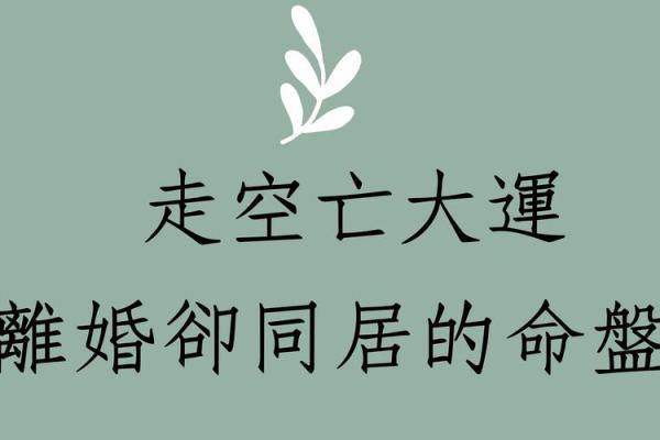 解密八字命局:如何通过命理理解人生轨迹与运势变化 解密八字命局:如何通过命理理解人生轨迹与运势变化