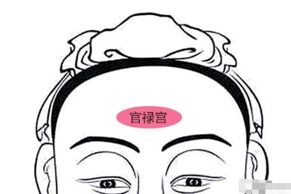 男命伤官见官的命理解析与人生运势影响 男命伤官见官的命理解析与人生运势影响