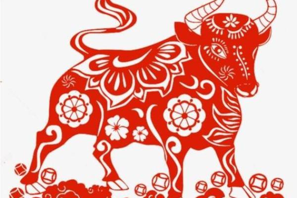 生肖牛60岁后的命运解析:智慧与财富的双重获益 生肖牛60岁后的命运解析:智慧与财富的双重获益