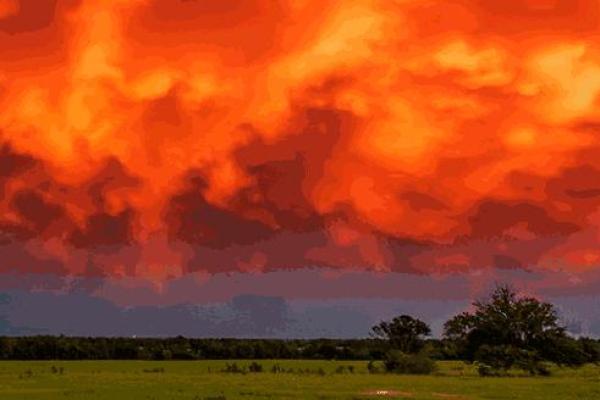 属狗山头火命:探索忠诚与热情的命运之旅 属狗山头火命:探索忠诚与热情的命运之旅