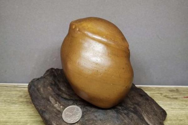 揭秘生肖四斤八两命的奥秘与生活启示 揭秘生肖四斤八两命的奥秘与生活启示