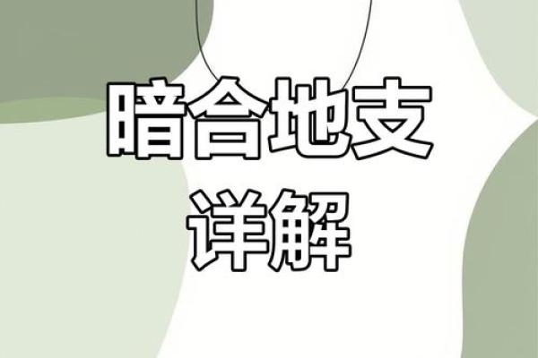 揭秘女命地支明合暗合的秘密与应用 揭秘女命地支明合暗合的秘密与应用