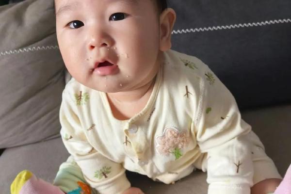 七月出生的猪宝宝:命运与性格的独特解析 七月出生的猪宝宝:命运与性格的独特解析