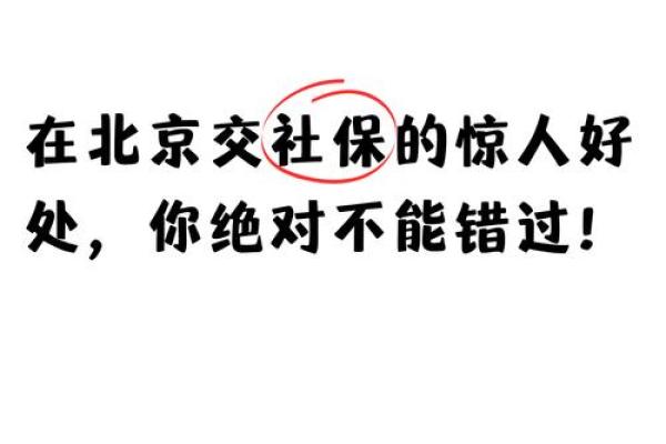 身弱男命的生存法则：如何在职场中打拼与成长！