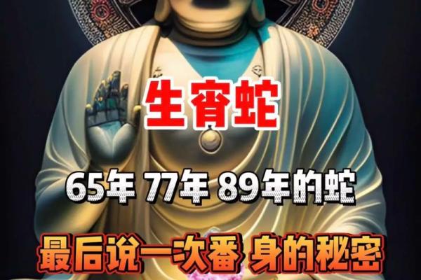 65年属蛇人的命运与性格解析:人生路上的智慧与挑战 65年属蛇人的命运与性格解析:人生路上的智慧与挑战