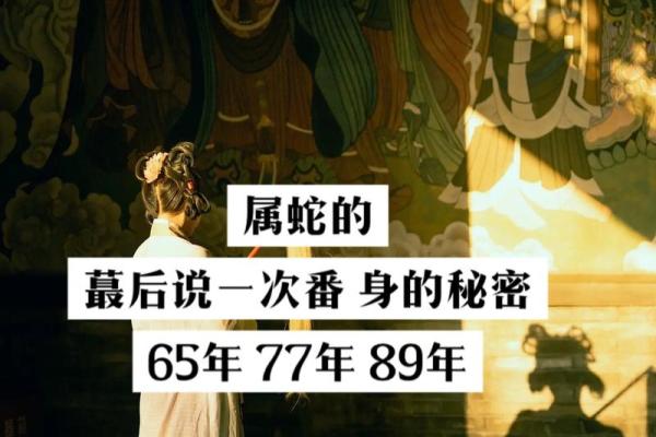 65年属蛇人的命运与性格解析:人生路上的智慧与挑战 65年属蛇人的命运与性格解析:人生路上的智慧与挑战