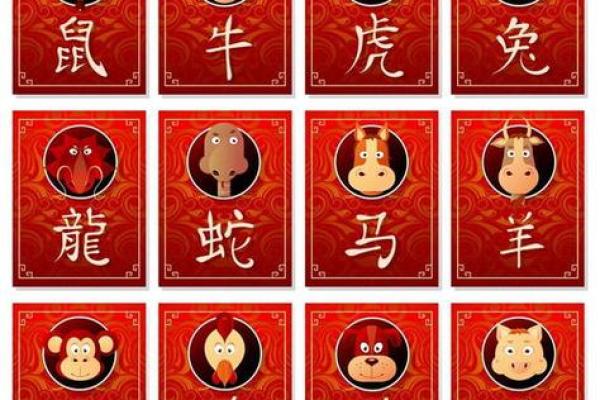 生肖金命五行的喜好与生活指南 生肖金命五行的喜好与生活指南