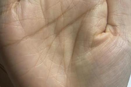 手短粗的女生命运与性格特征解析