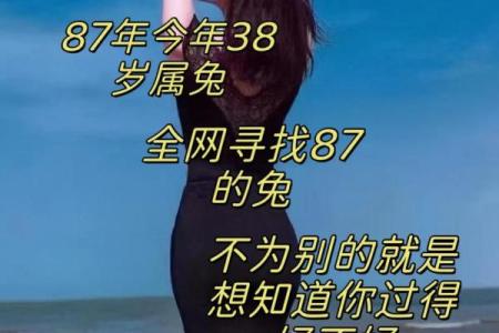 属兔六零后：命运与性格的完美交织