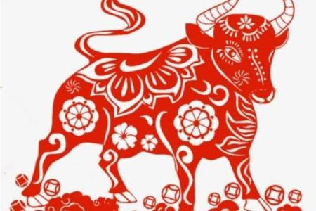 生肖牛60岁后的命运解析：智慧与财富的双重获益