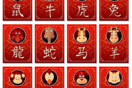 生肖金命五行的喜好与生活指南