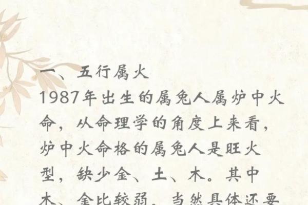 炉中火命：探索其五行特性与生活中的应用