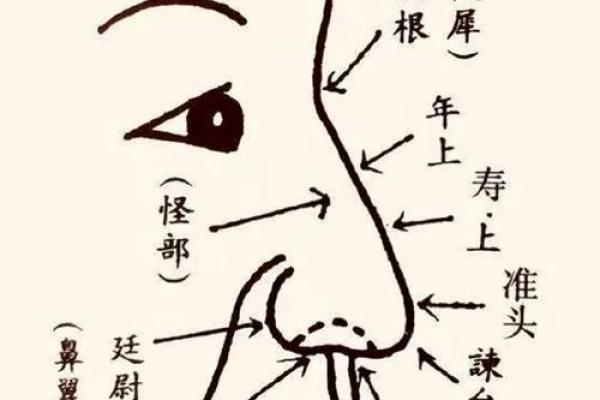 揭秘面相：为何一些人注定无子女命？