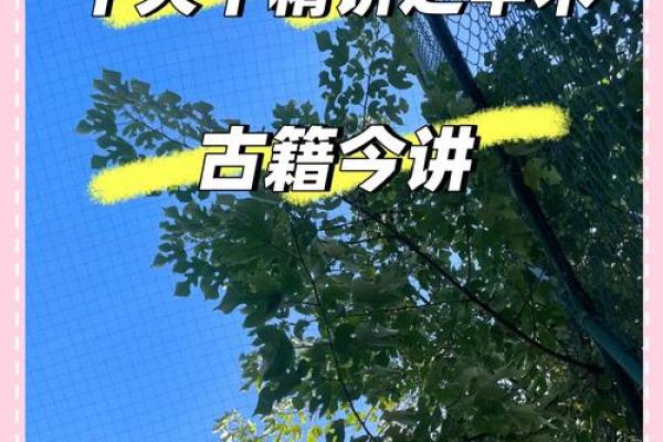 七十一岁:五行命理的奥秘与人生智慧 七十一岁:五行命理的奥秘与人生智慧