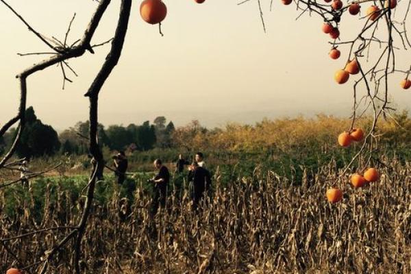 陕北结婚习俗揭秘:上头仪式背后的故事与寓意 陕北结婚习俗揭秘:上头仪式背后的故事与寓意