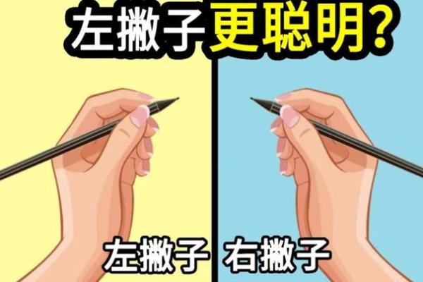 揭示左撇子命的八字秘密,探索不同命格的独特性格与潜能! 揭示左撇子命的八字秘密,探索不同命格的独特性格与潜能!