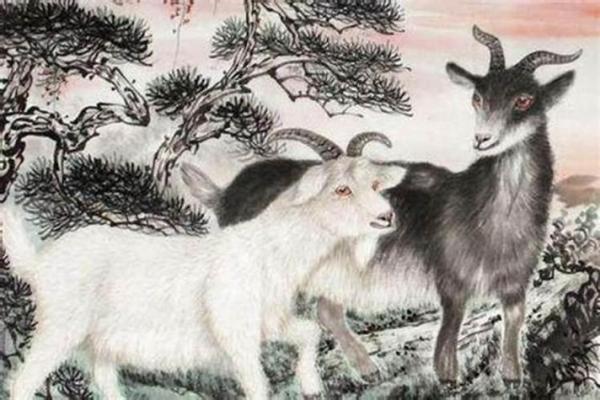 十月的女属羊:温柔与智慧交织的命运之旅 十月的女属羊:温柔与智慧交织的命运之旅