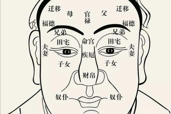 揭秘玄武入命的面相特征,探寻命运的奥秘 揭秘玄武入命的面相特征,探寻命运的奥秘