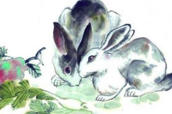 属兔的24岁命运解析:如何掌握人生的关键时刻 属兔的24岁命运解析:如何掌握人生的关键时刻