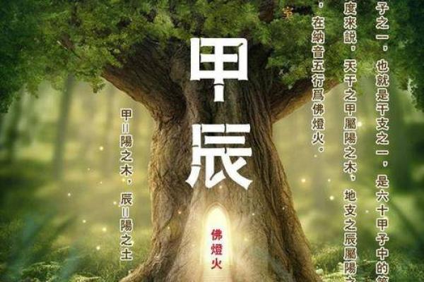 属木命的人适合戴什么?提升运势的小秘诀! 属木命的人适合戴什么?提升运势的小秘诀!