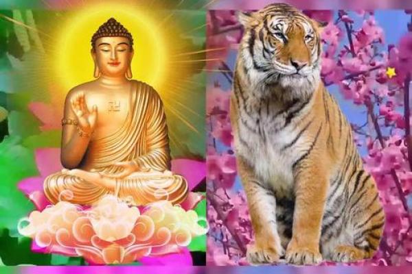 属虎人2023年运势:星光璀璨,命运转折的一年 属虎人2023年运势:星光璀璨,命运转折的一年