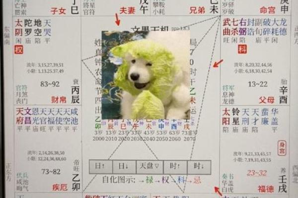 命格配对：如何找到理想婚姻的秘诀？