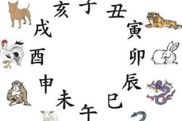 属狗是火命，属猴的命理解析与搭配指南