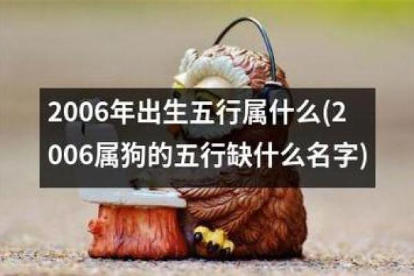 属狗是火命，属猴的命理解析与搭配指南