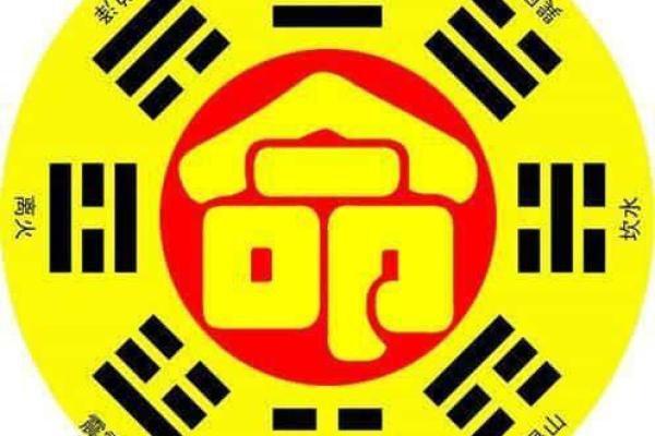 解锁命理密码：东命人与西命人的神秘面纱