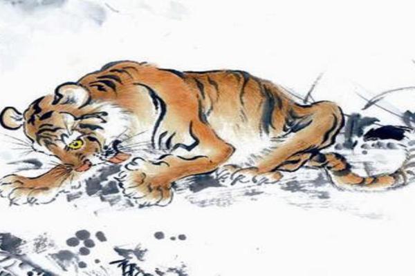 属虎命苦之谜:如何破解命运的困境与挑战 属虎命苦之谜:如何破解命运的困境与挑战