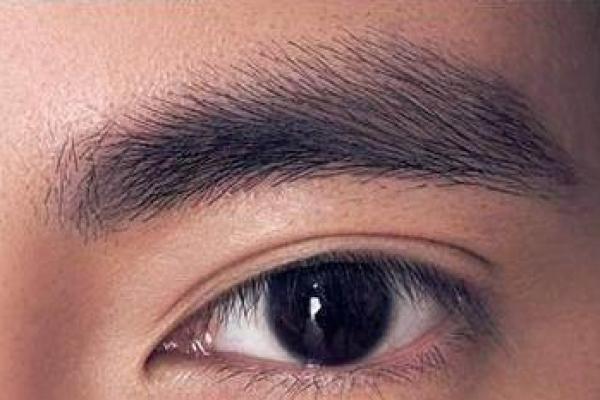 揭示金命女人的面相特征:纵览魅力与智慧的结合 揭示金命女人的面相特征:纵览魅力与智慧的结合