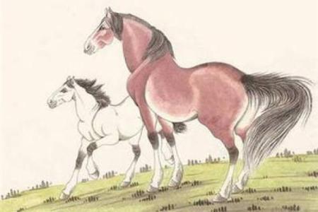 石榴木命与命理相克，揭秘不适合的缘分与职业选择