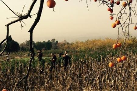 陕北结婚习俗揭秘：上头仪式背后的故事与寓意