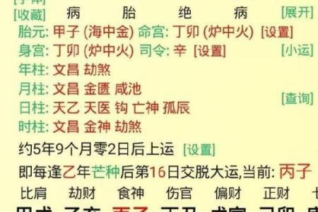 命理学：揭示哪些命能助您开创财运之路