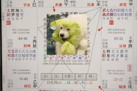 命格配对：如何找到理想婚姻的秘诀？