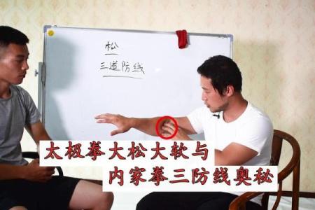 手腕细骨的奥秘：解读手腕两根细骨的命运与意义