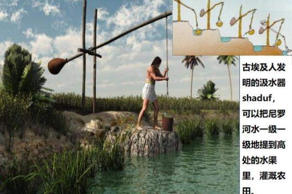 深入解读《申命记》：信仰、律法与生活的启示