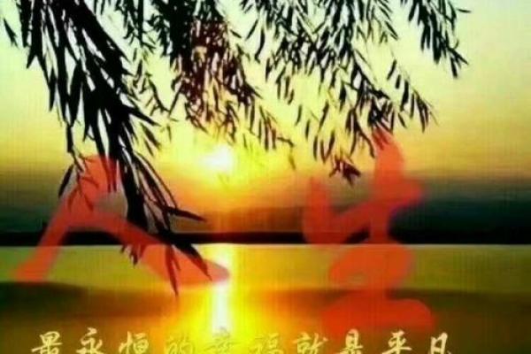 富太太命的特征：什么样的女人才配拥有这份奢华人生？