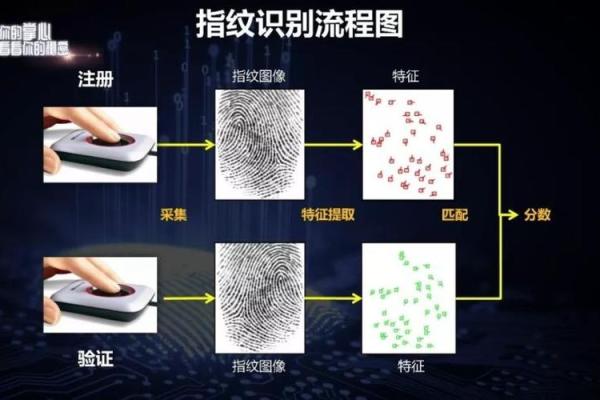 手纹解析:通过指纹看出你的命运走向与人生指引! 手纹解析:通过指纹看出你的命运走向与人生指引!