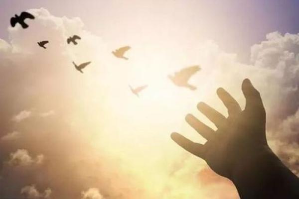 起矫命的“矫”字解读:从字源看生命中的力量与智慧 起矫命的“矫”字解读:从字源看生命中的力量与智慧