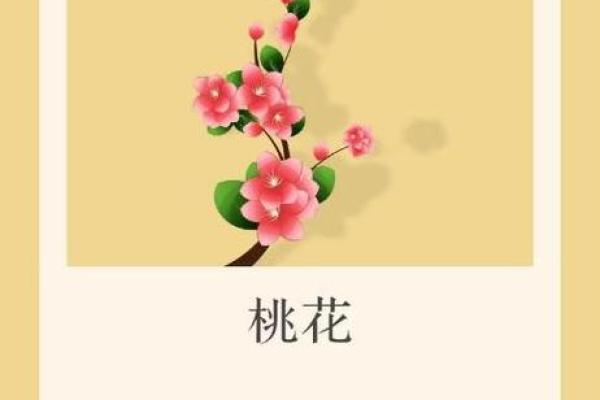 什么样的八字被称为桃花命？探秘命理中的桃花运与爱情关系