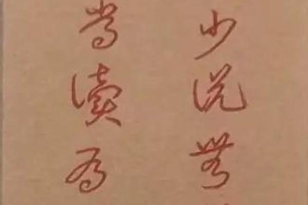 什么人都不如自己的命好：生命的珍贵与意义