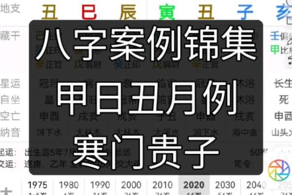 如何通过八字识别贵子命,助你家庭幸福绵延 如何通过八字识别贵子命,助你家庭幸福绵延