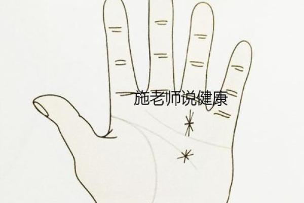 属马的年命三煞解析：破解人生运势的秘密！